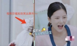 程莎莎爆料杜淳视频大全,真相大白背后的惊人内幕